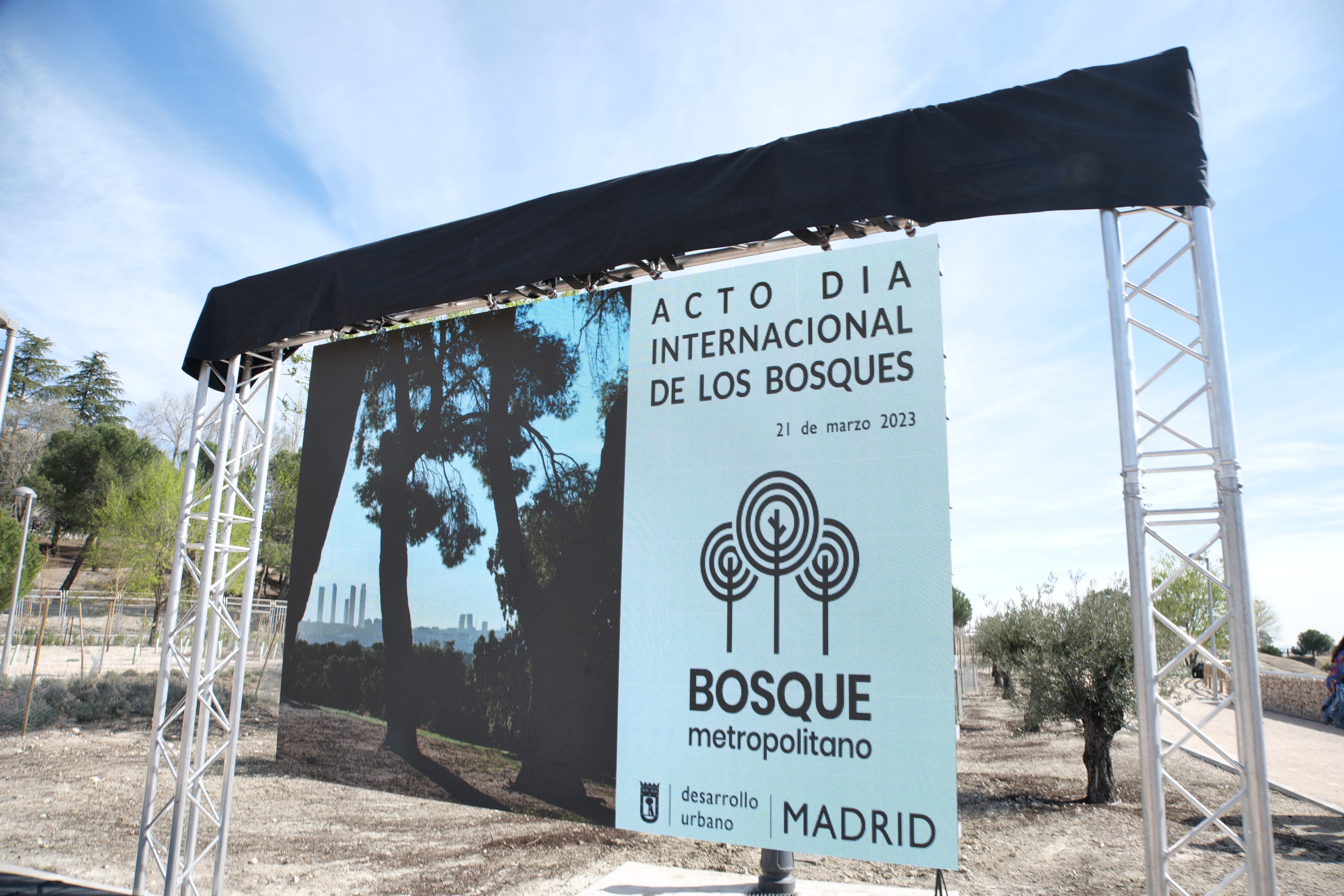 Cartel D&iacute;a Internacional de los Bosques